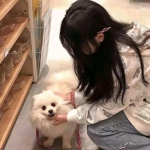 蜘蛛人大冒险最新版
